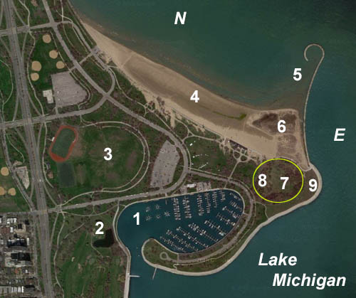 Aerial Photo of Montrose Point. Courtesy of the United States Geologic Survey.