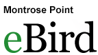 eBird hotspot for Montrose Point