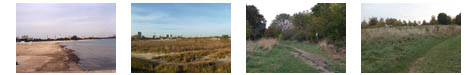 Montrose Thumbnails