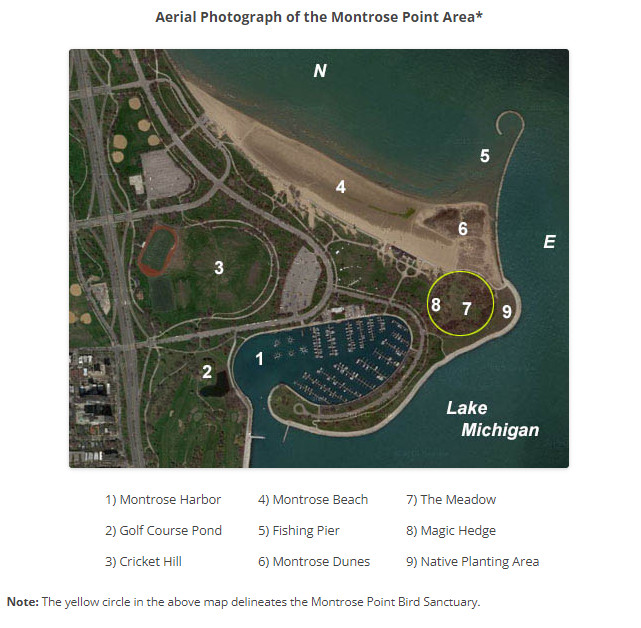 Graphic of Montrose Point