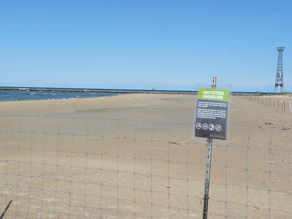 View of the protected beach at Montrose